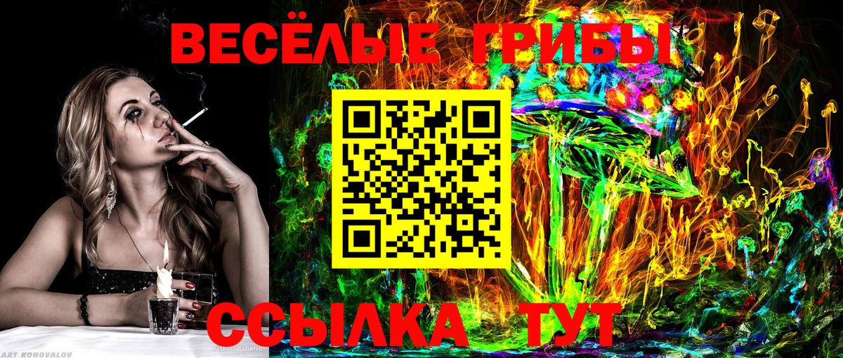хочу   Псилоцибиновые грибы Psilocybe  Вход с VPN  Семёнов 